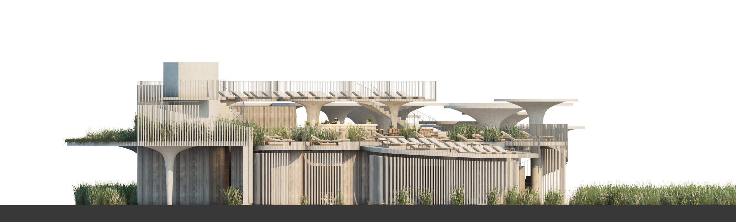 阿斯伯里帕克-25