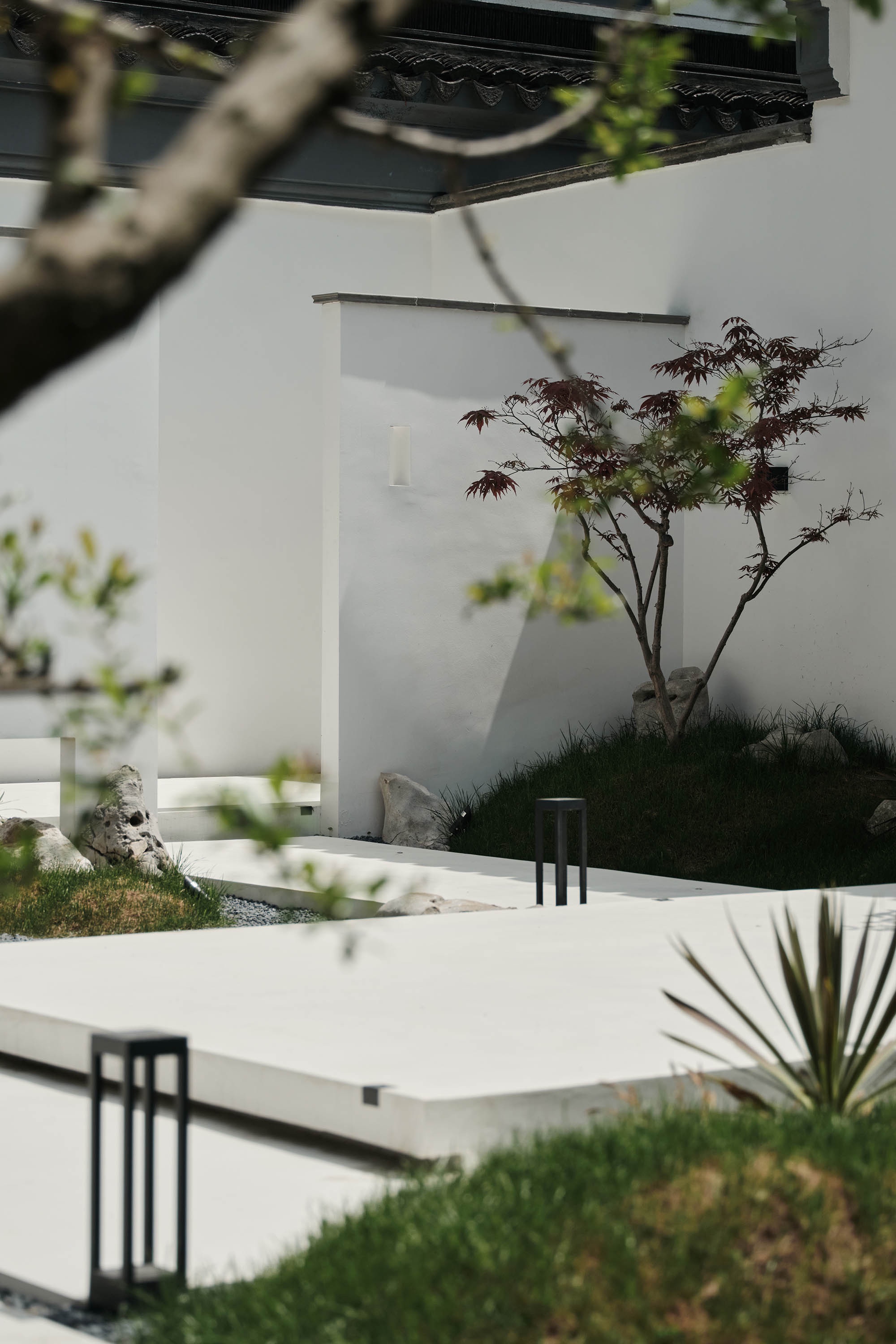 庚空间设计丨漫画蜗牛民宿-6