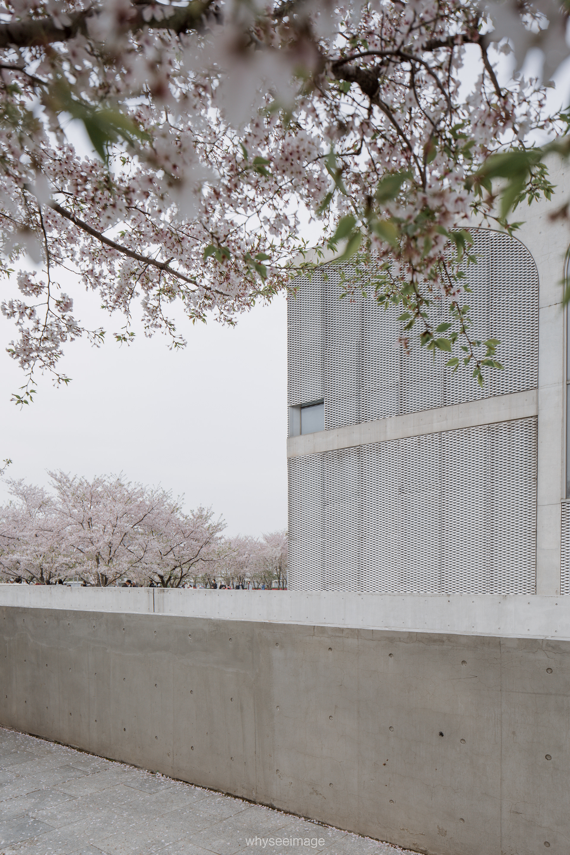 樱花+龙美术馆丨中国上海丨大舍建筑设计工作室-26