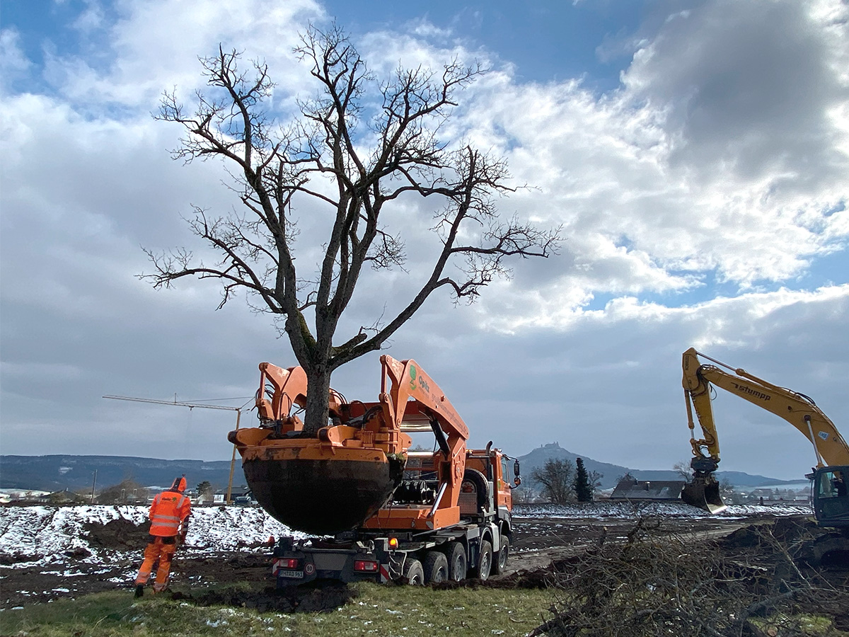 基尔贝格四号（Killberg IV 可能是有特定编号的地名等，这种表述可能和当地实际情况相关） 黑兴根丨德国-18