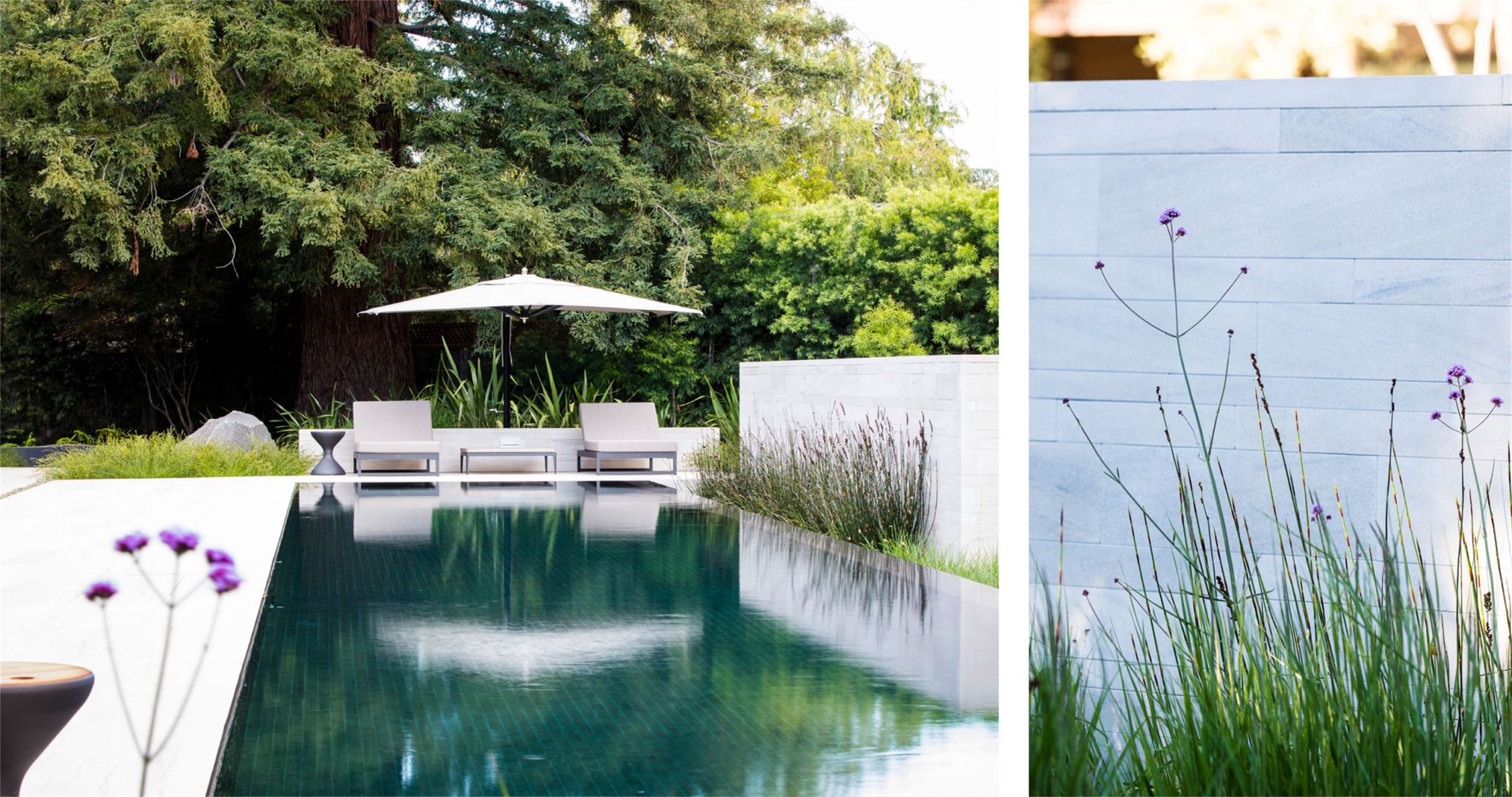 自然生长 · 私宅景观丨美国加利福尼亚-122