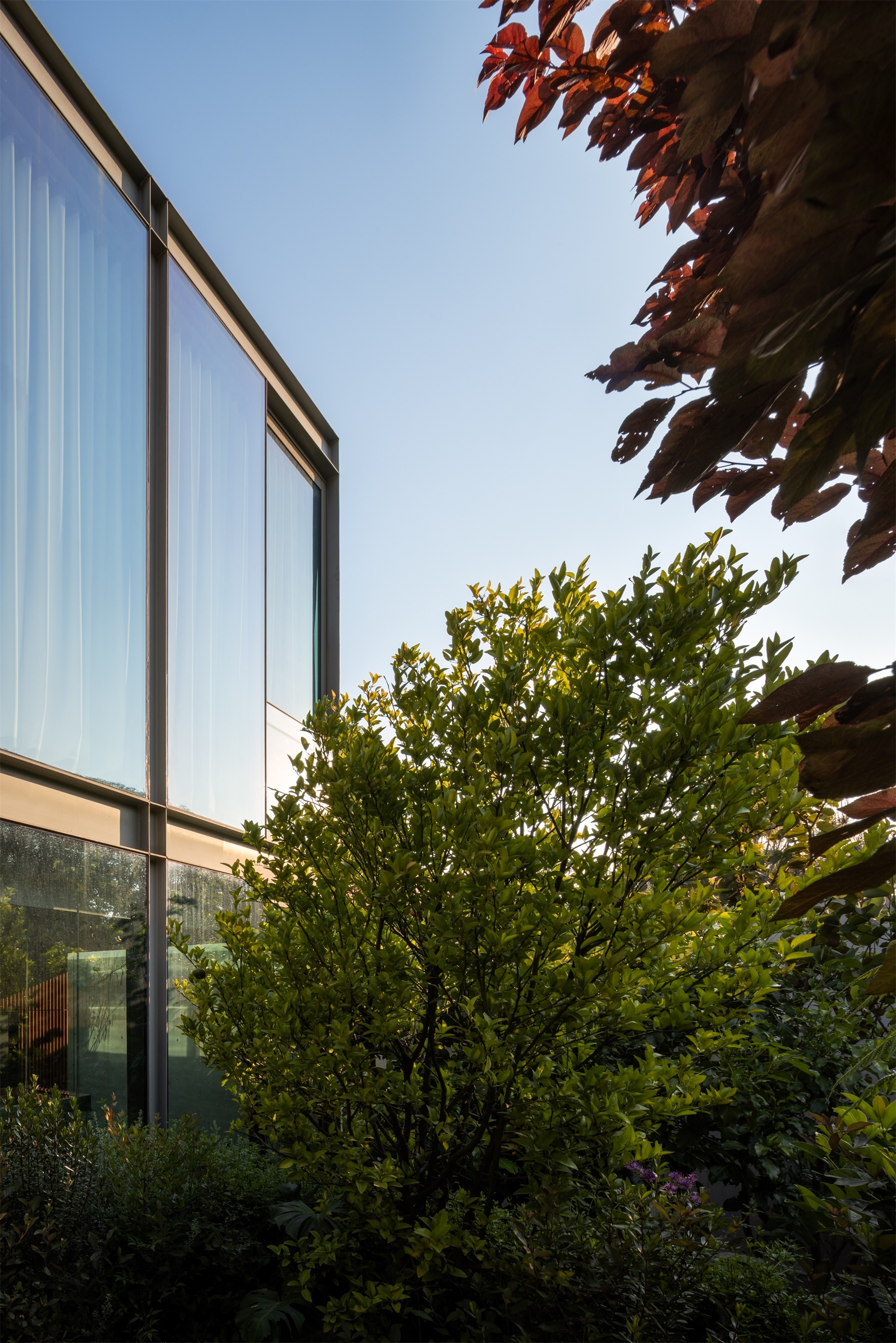 别墅豪宅丨墨西哥墨西哥城-52