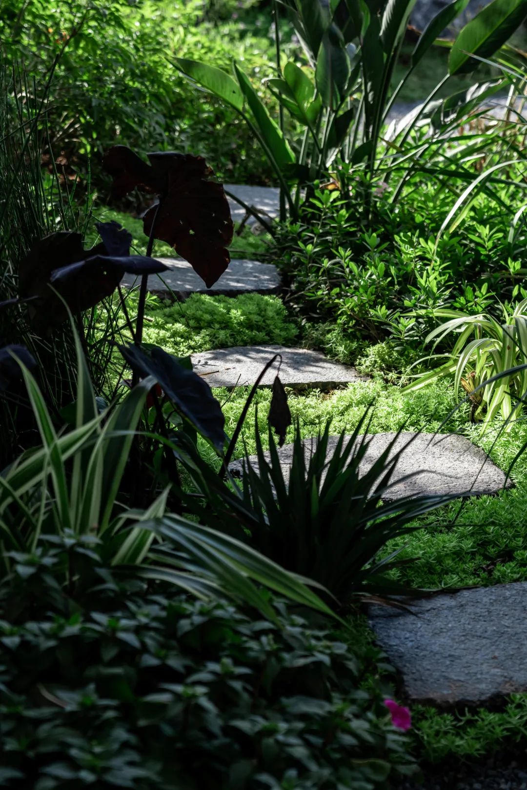 海上钢琴诗丨中国铁建&南沙开建集团 · 西派澜岸-83