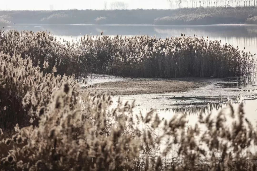天津宁河生态小镇营销中心——自然与建筑共生的室内设计-3