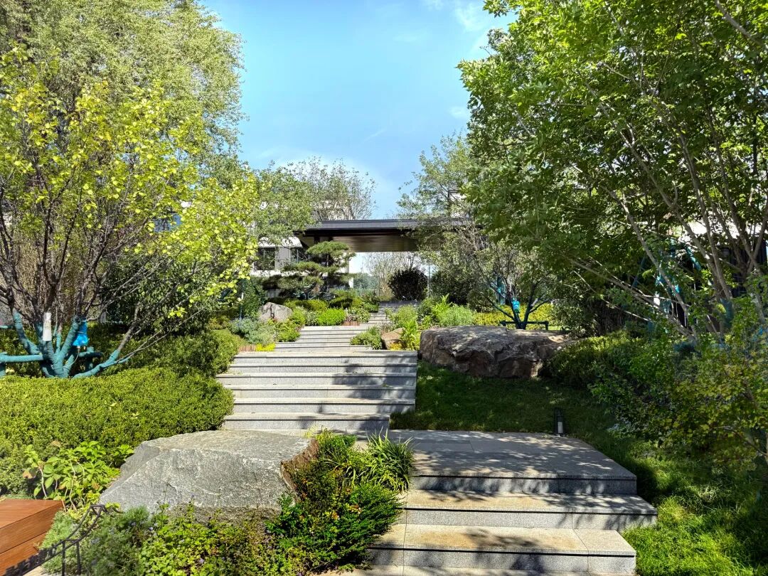 沈阳风景园林股份有限公司施工作品展I越秀·沈阳岄湖郡七期项目园建绿化工程-19