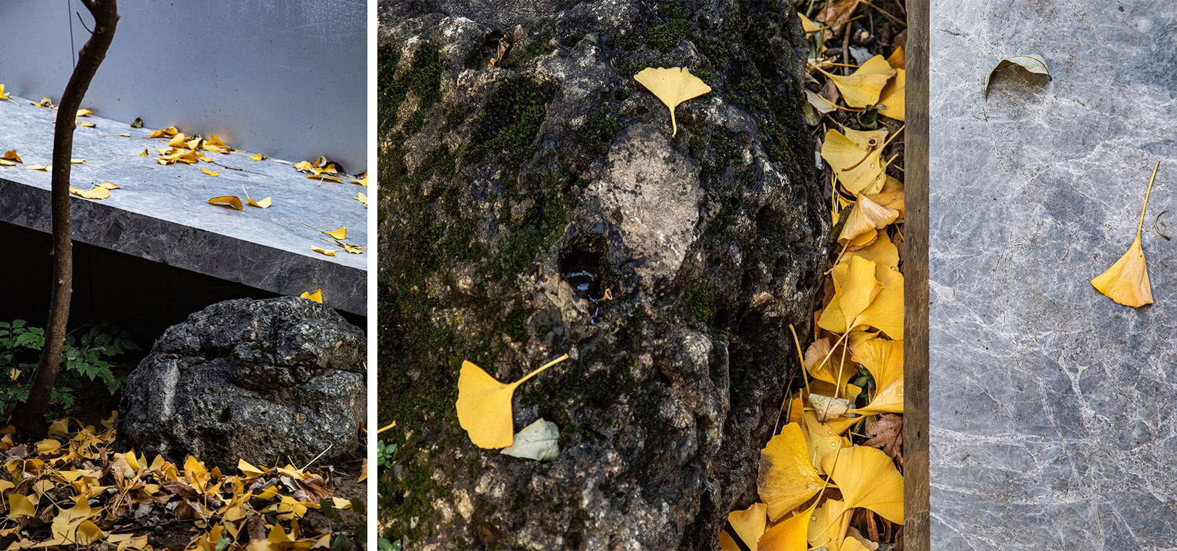 满园丨中国北京丨TAOA陶磊建筑-40