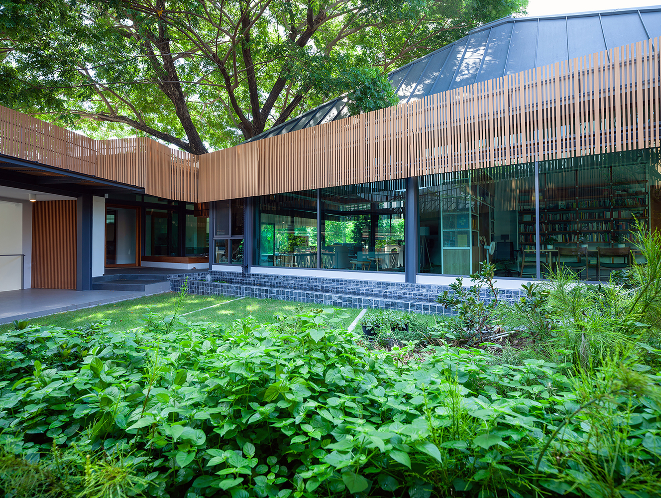 泰国 O 树屋丨Junsekino 建筑师与设计-11