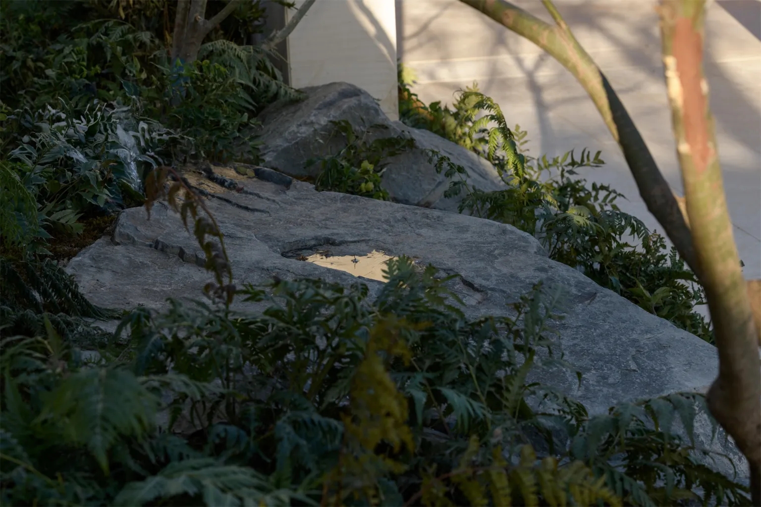 上海掌心湖原舍景观丨中国上海-6