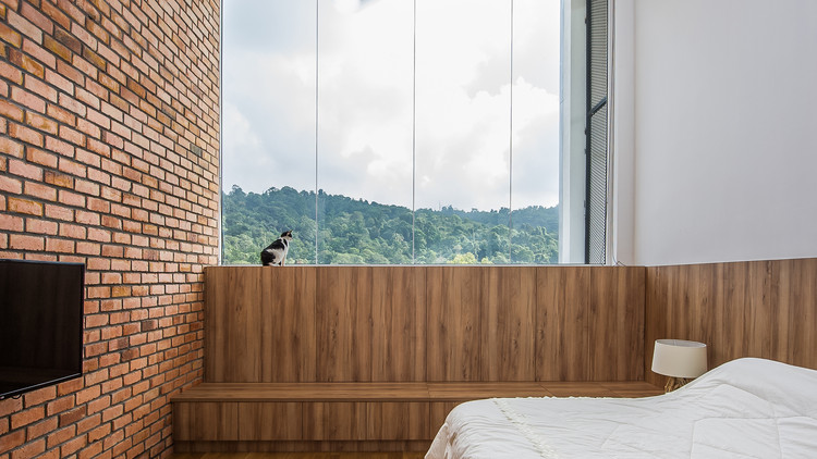 38Mews House  Design Collective Architects-6