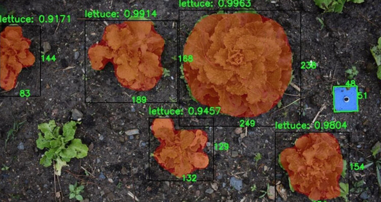 丨加泰罗尼亚高级建筑学院（IAAC）等-22