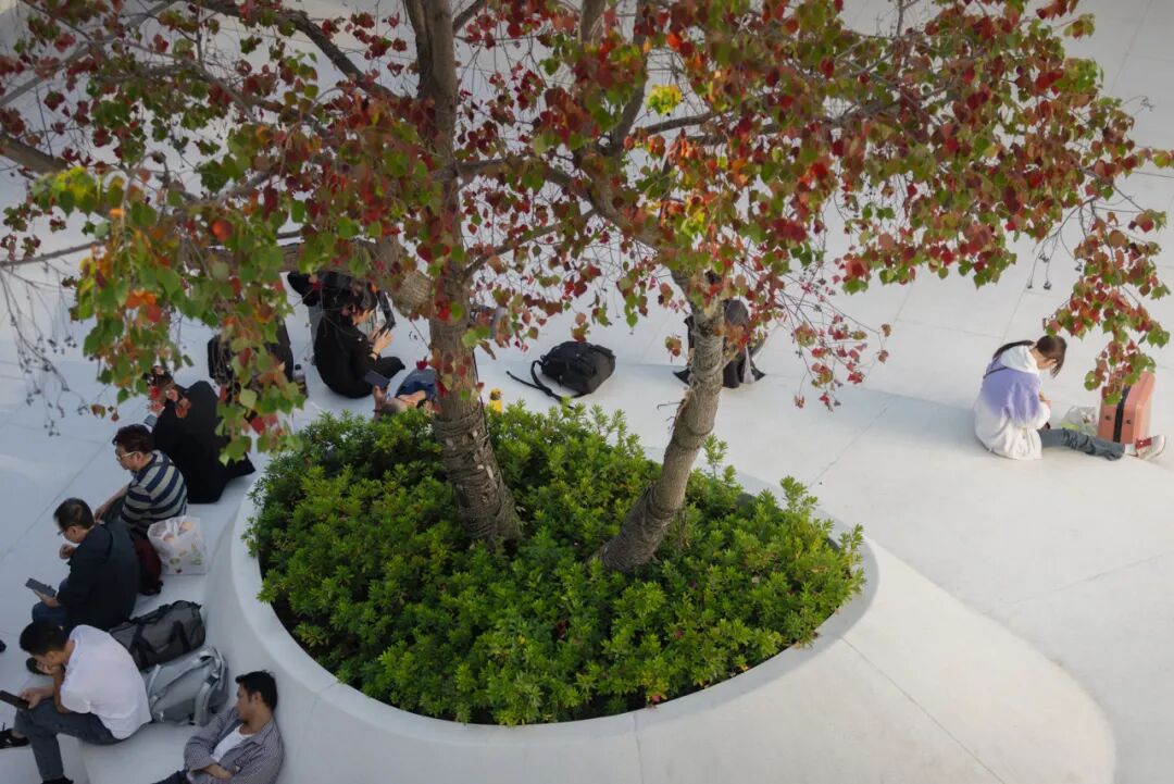 ASLA获奖作品 连接过去和未来的城市绿洲——嘉兴火车站景丨中国嘉兴丨致舍景观-61