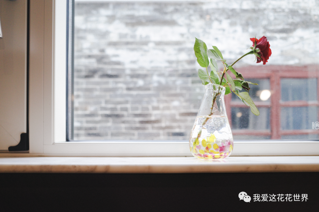 广州百年老宅改造丨中国广州丨设计师黄翔-143