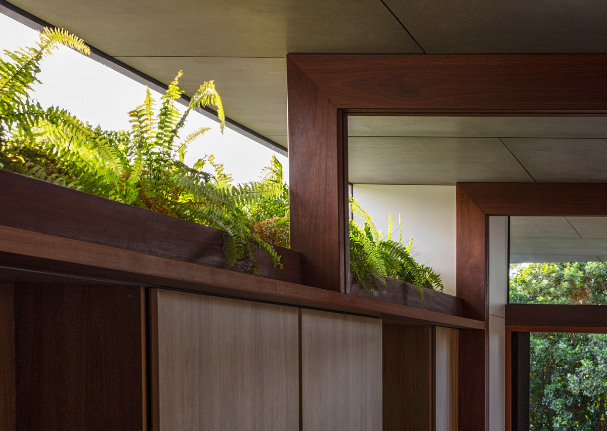 澳大利亚 Totoro 之家丨澳大利亚悉尼丨CplusC Architectural Workshop-45