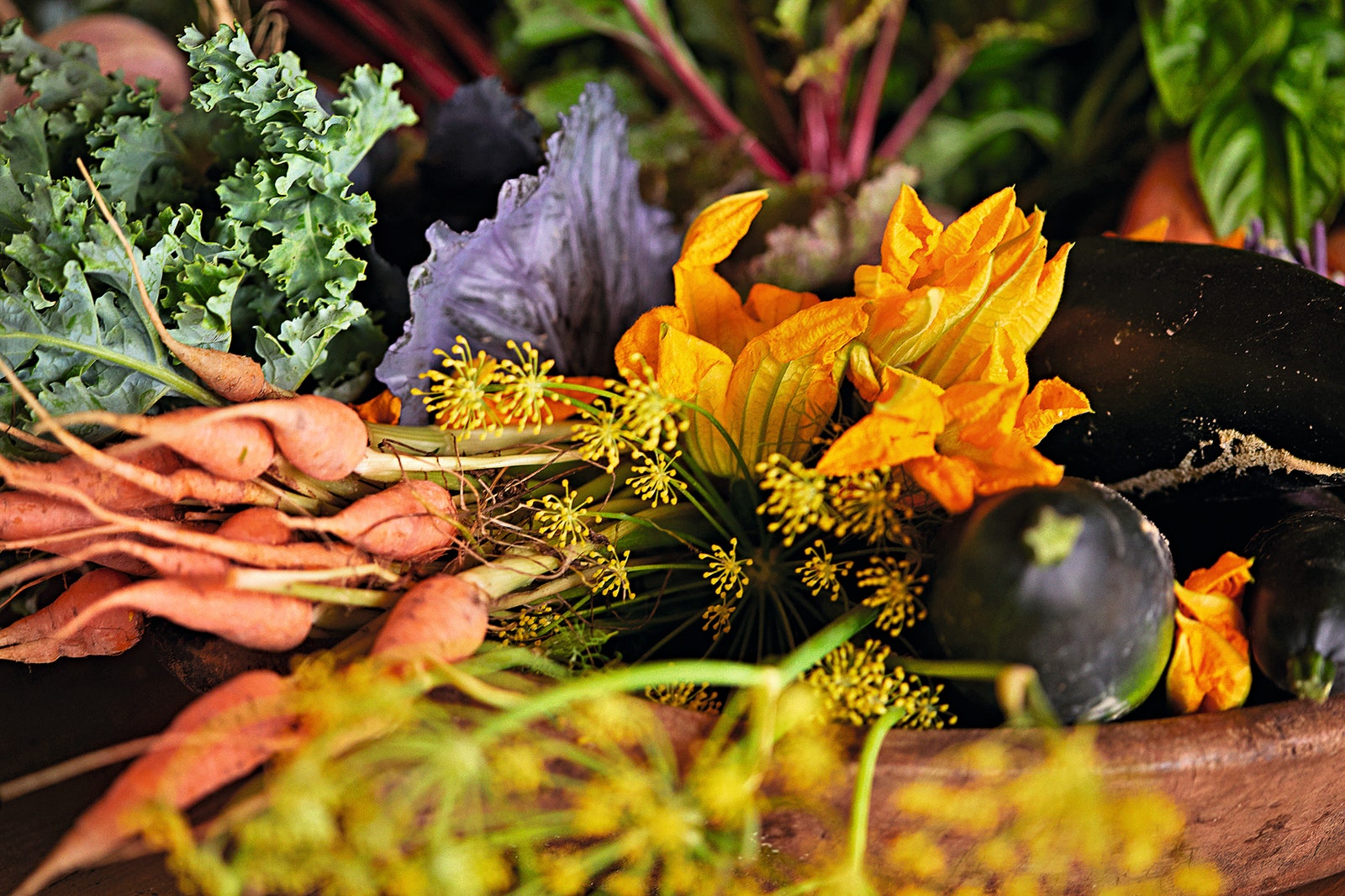 南非酒庄中的世外桃源-24