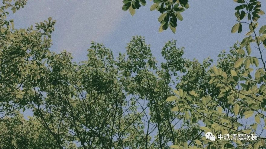 未来天空中心 · 现代极简的绿色静谧空间丨中国杭州丨中轶清庭软装-2