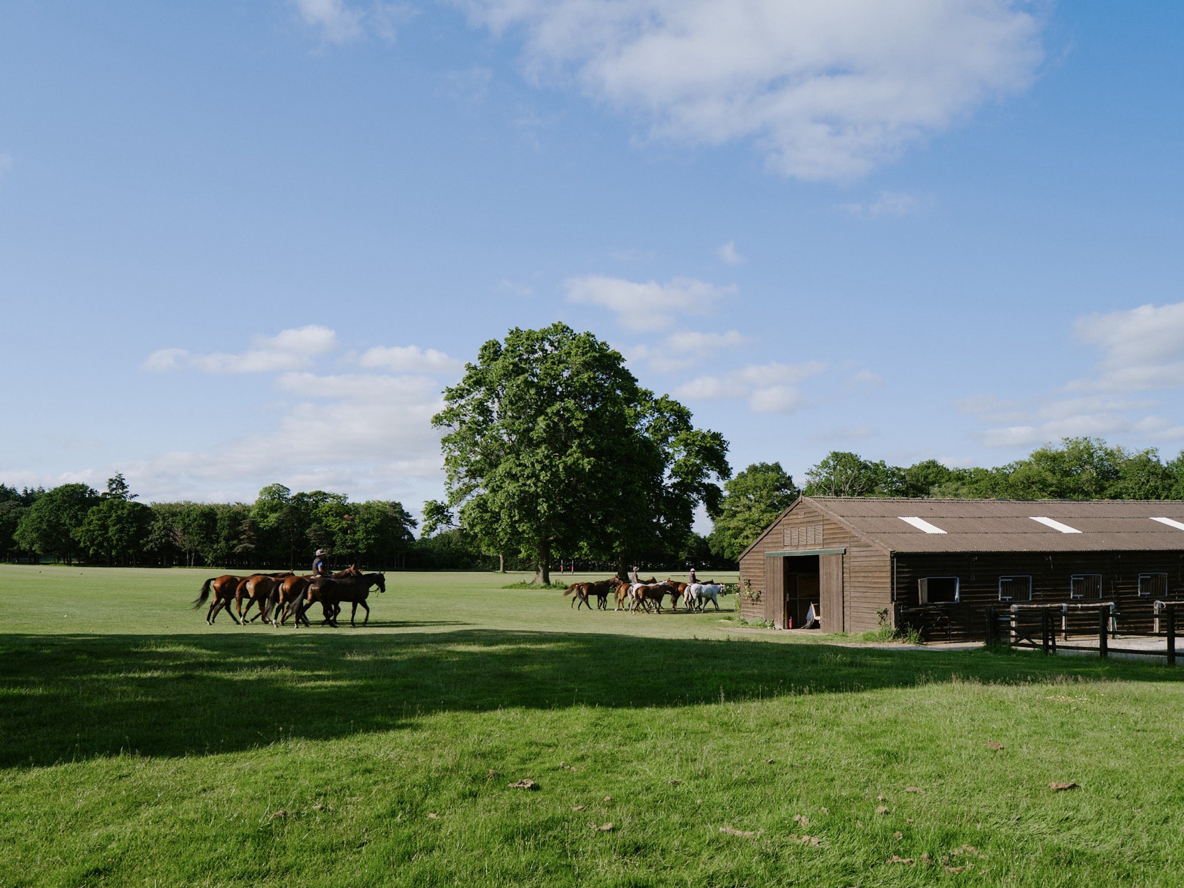 ARC马场丨英国丨Da Costa Mahindroo Architects-14