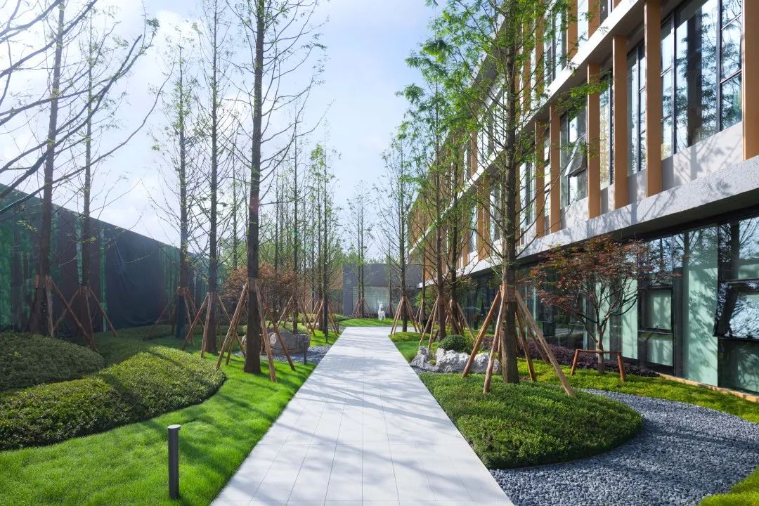 贵阳融创·云麓长林 | 自然之约,心灵之旅-50