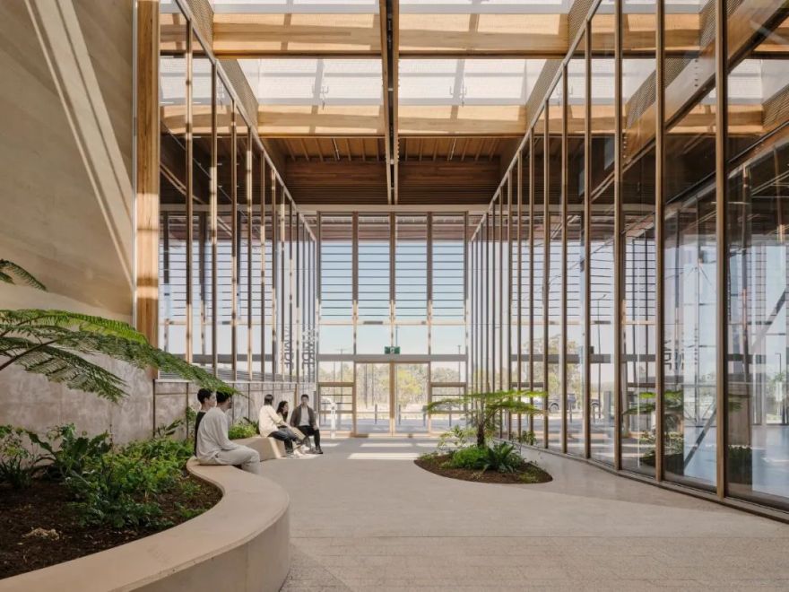 悉尼布拉德菲尔德新城中心“首栋建筑”(First Building)丨澳大利亚悉尼丨Hassell,Djinjama-11