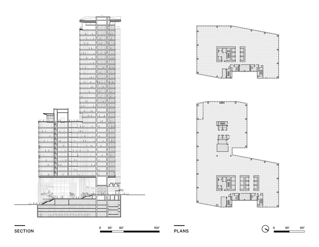 2+U 大厦丨美国西雅图丨Pickard Chilton-60