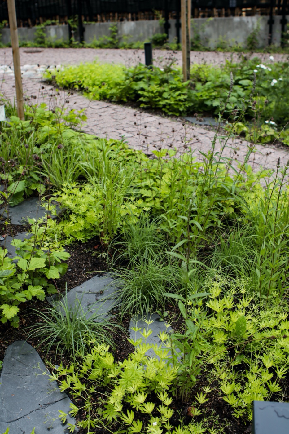 Scandic Grand Central Helsinki Courtyard | 绿色秘境酒店庭院设计-21