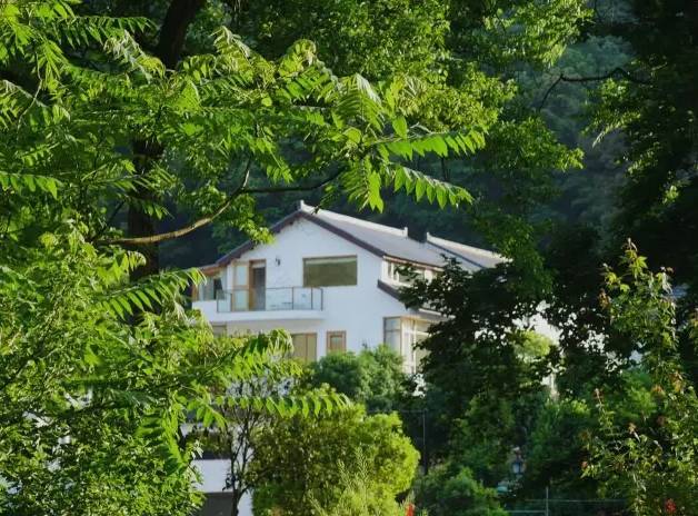 避暑|就去杭州山中过“小森林”里的生活-4