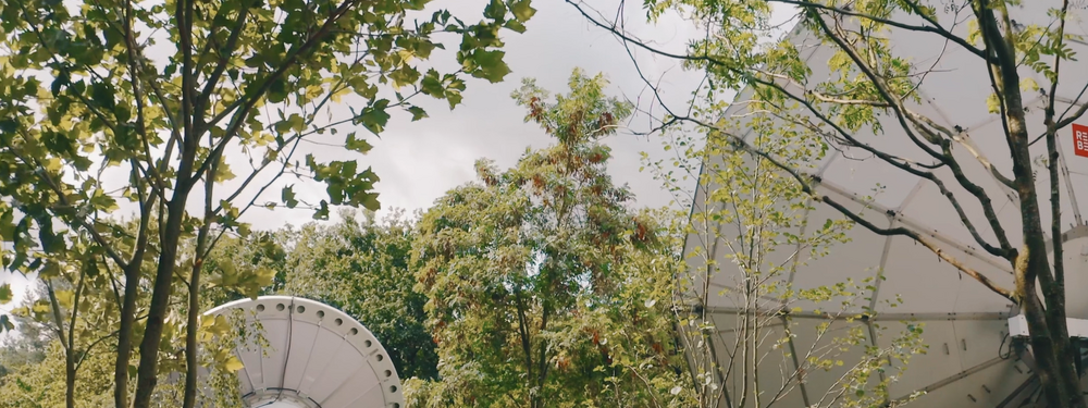 NOS 绿化新闻广场及露台丨荷兰丨NOS Grasveld 园林与景观建筑师事务所-27