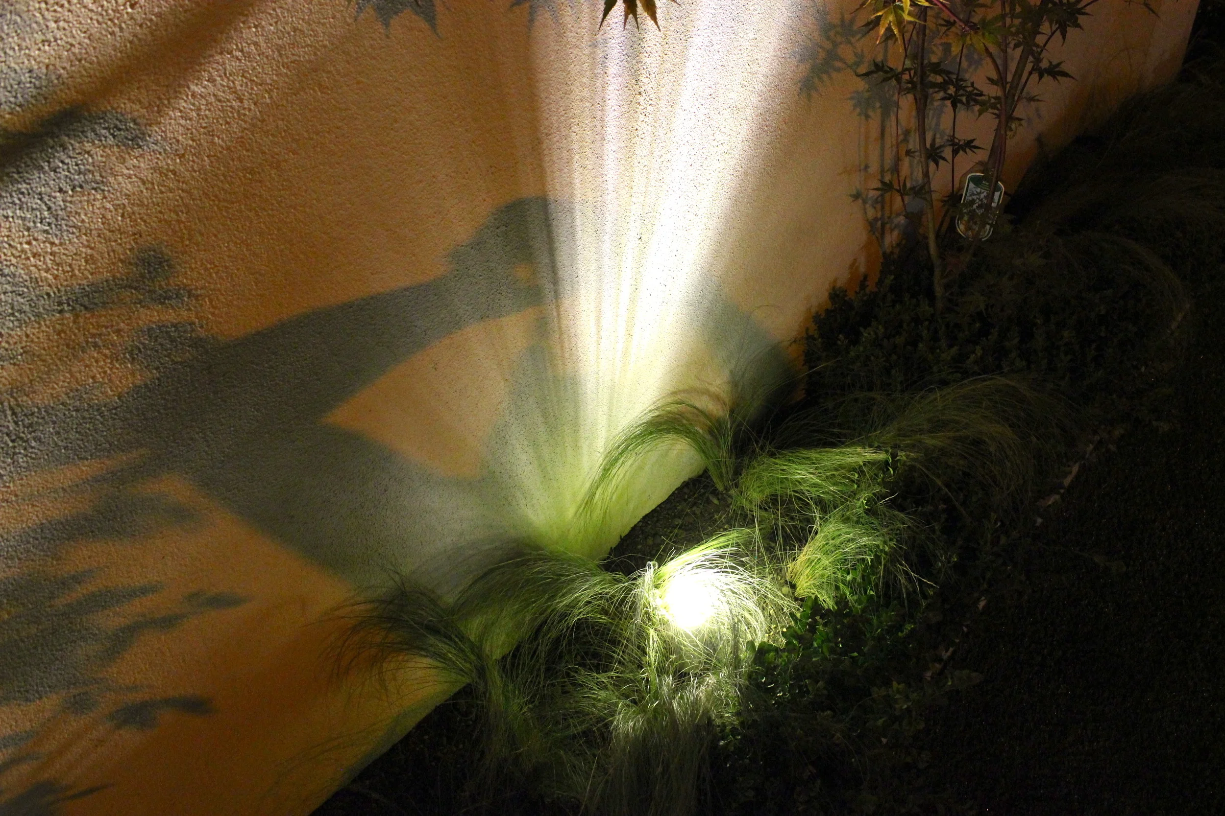 Templeogue Turf住宅后花园景观设计丨爱尔兰都柏林-108