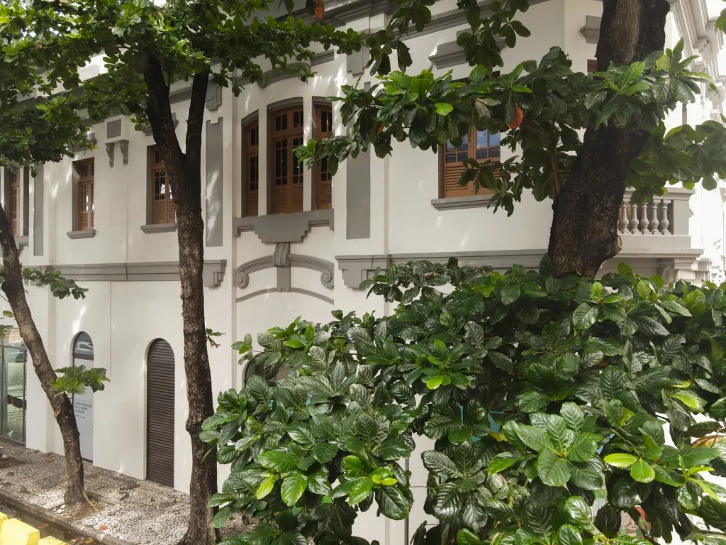 丨巴西伯南布哥-227