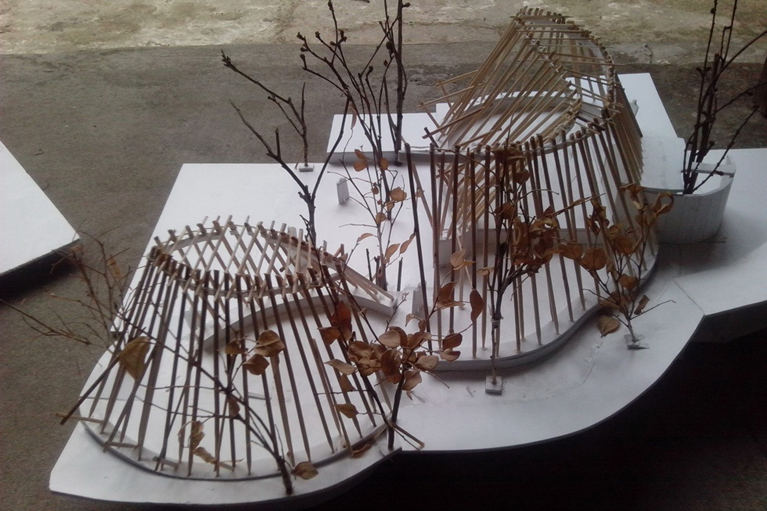 Bamboo Sunyata  akasha+associates architecture-54