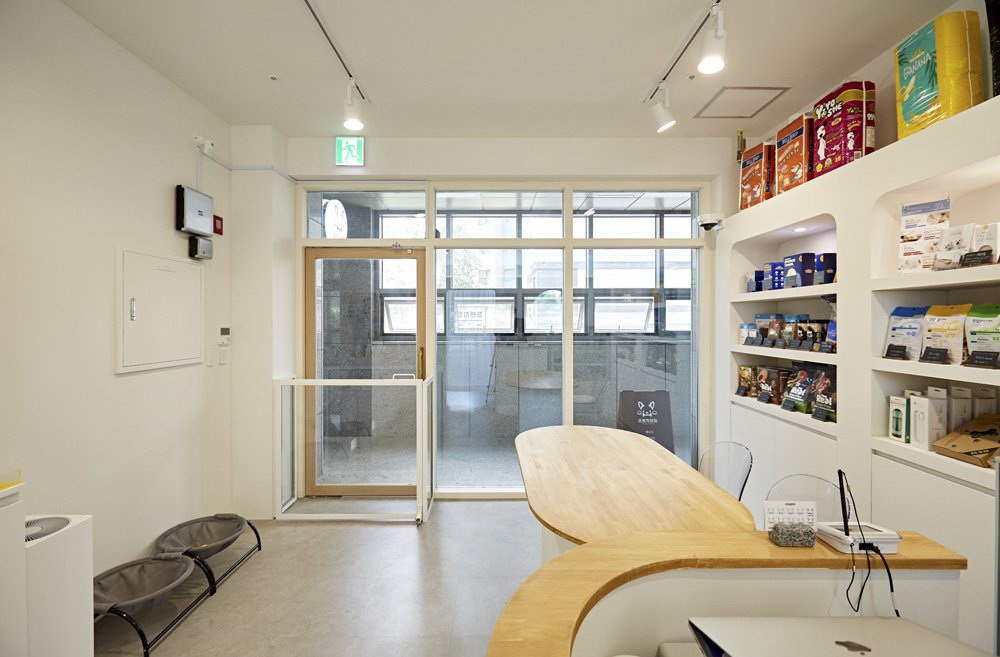 白色木纹，打造温馨舒适家居空间-8