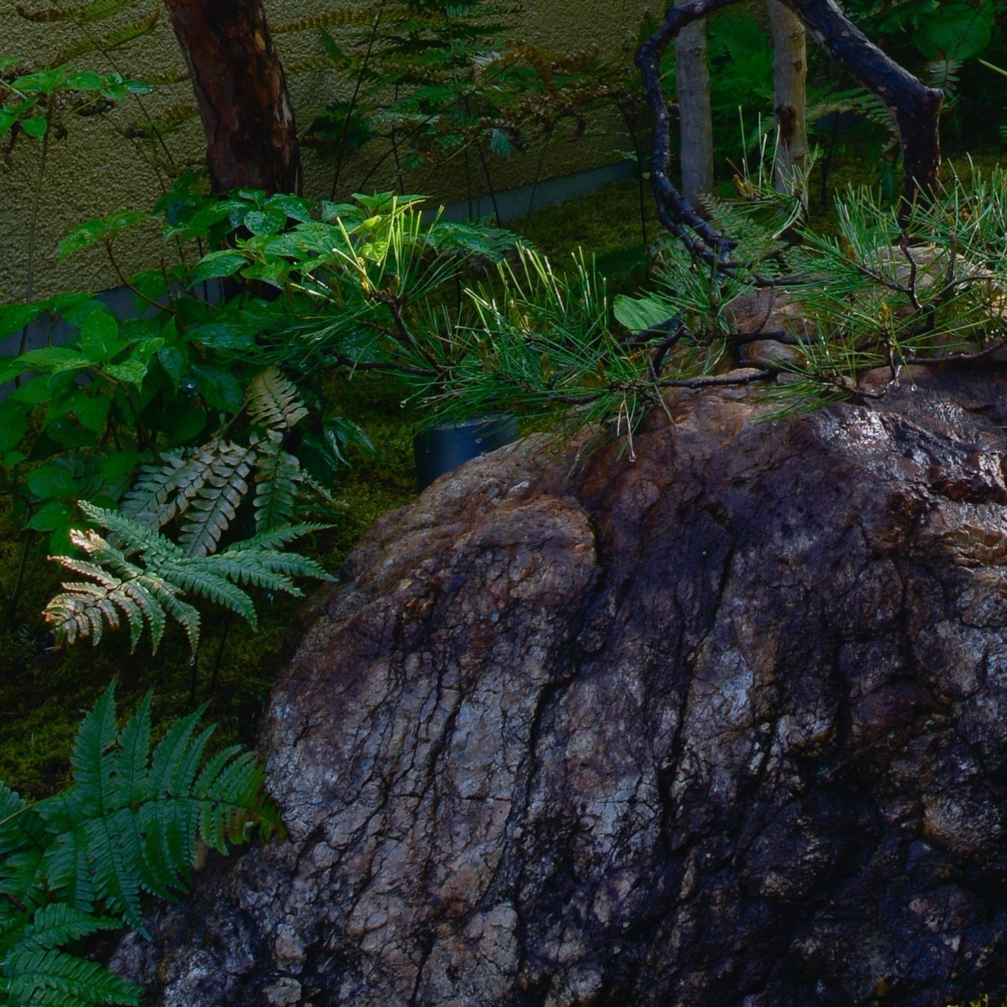 优雅花园 U 邸丨日本丨近江綴園（Omi Tsuzurien）-22