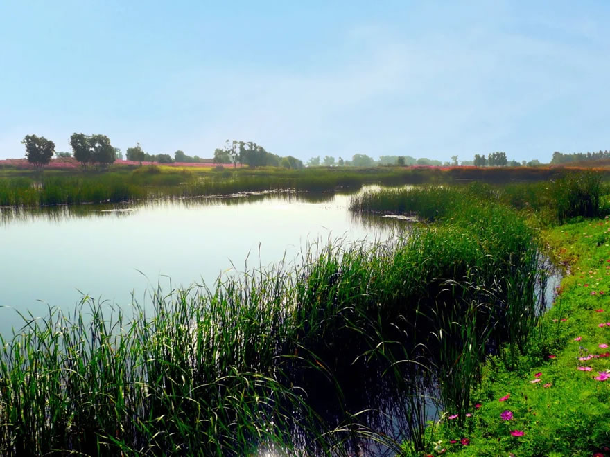 长春北湖国家湿地公园-29