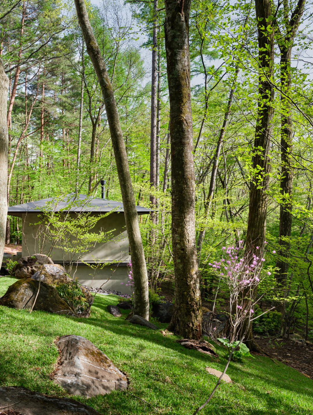 红松林中的然居丨奥野公章建筑设计事务所-1