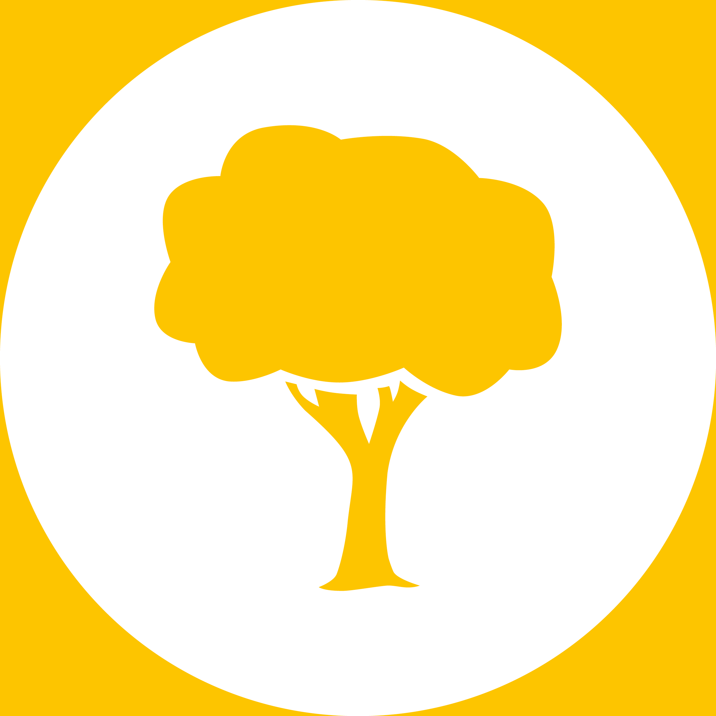 丨Levitt Bernstein-28