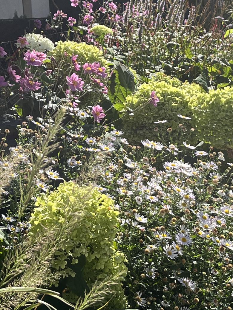 Karin Standler Landschaftsarchitektur丨Wohnpark Csokorgasse丨奥地利-2