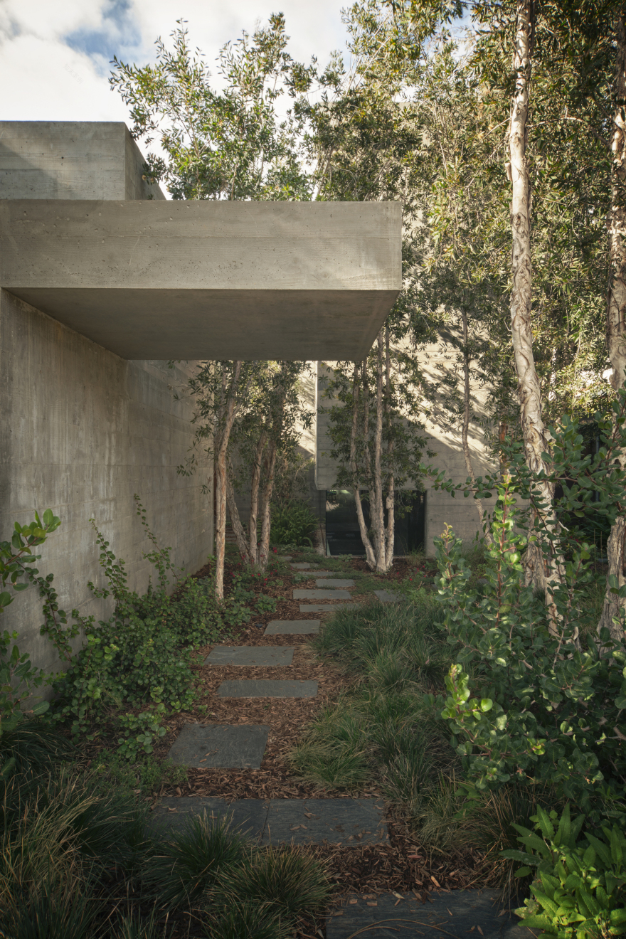 绿意掩映的静谧空间——Phoenix House-9