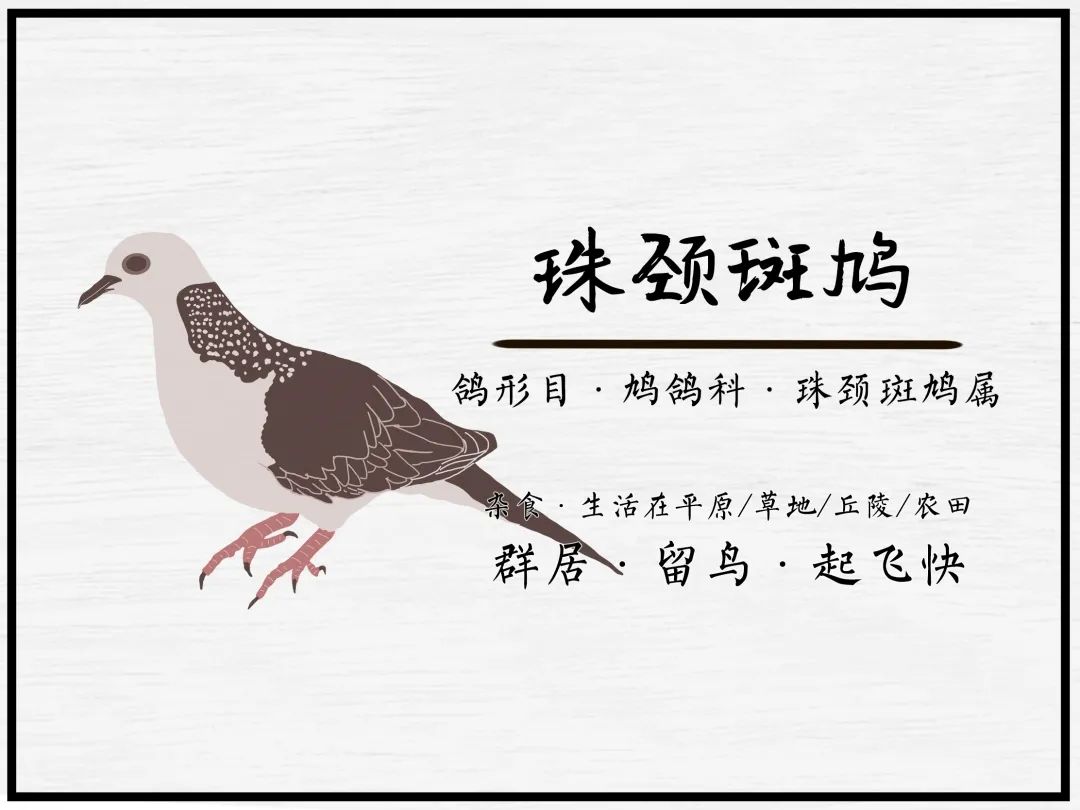 广汽丰田生态园·工业绿色风景线丨普邦设计-87