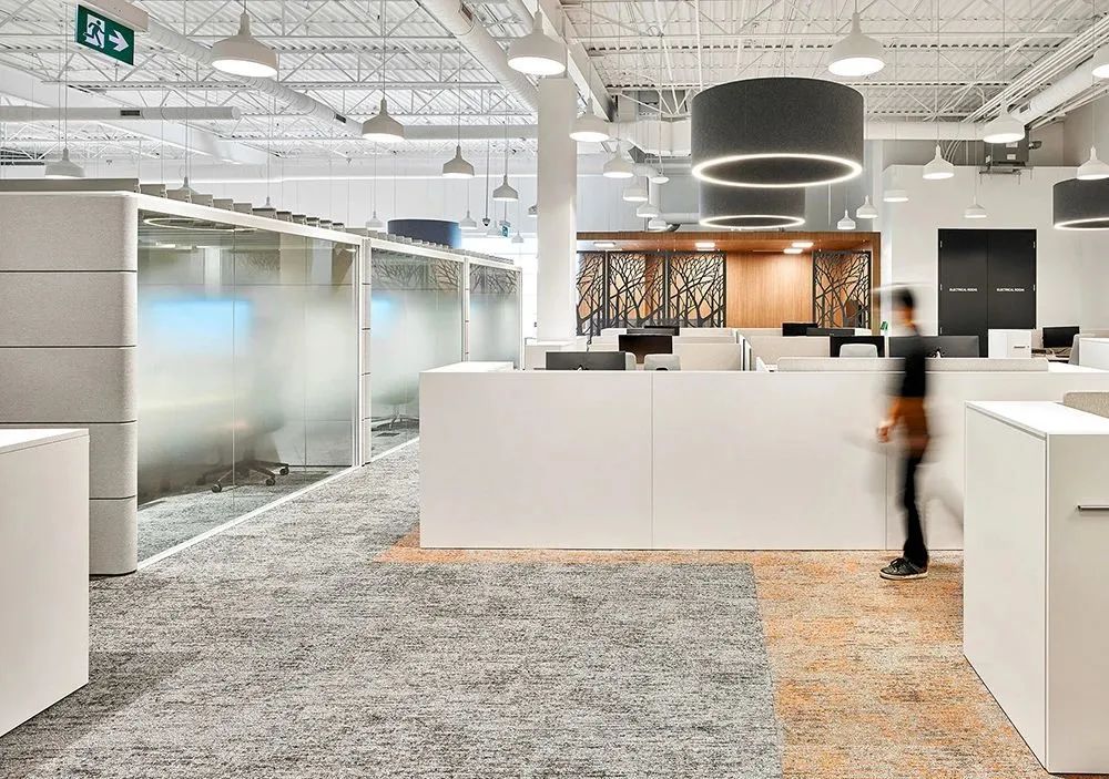 四季主题加拿大 Tandia Financial 办公室-30