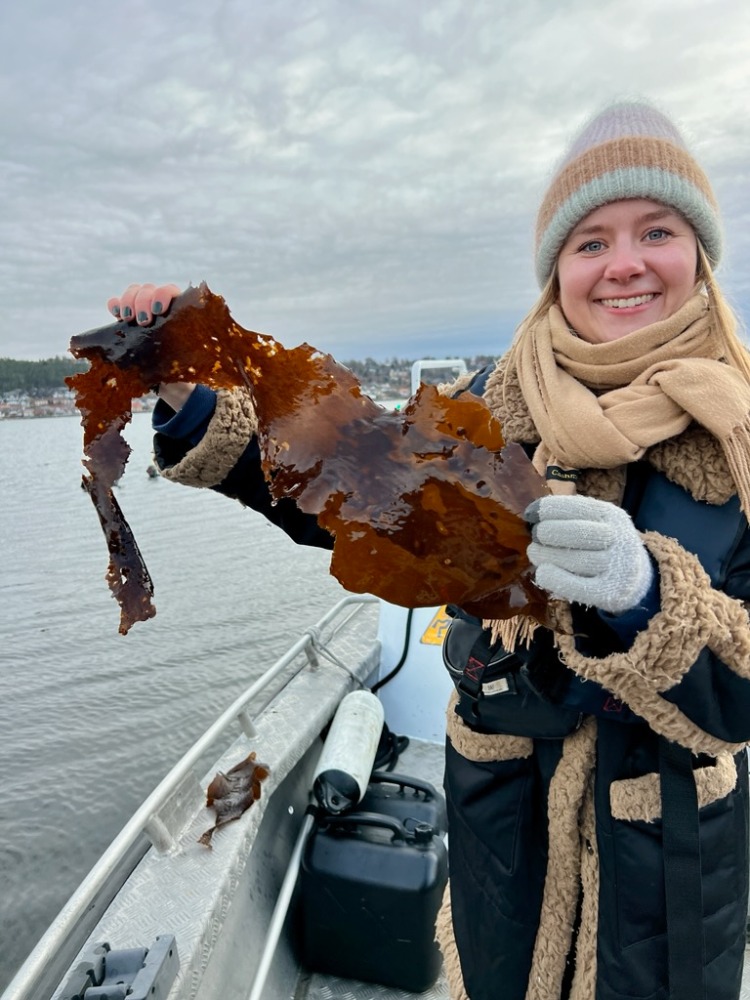 挪威首个海洋利用渔场-67