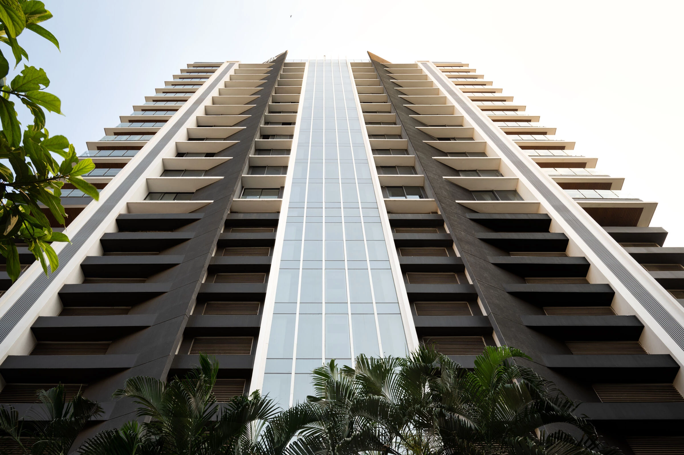 爱吉亚签名丨Mandviwala Qutub & Associates-15