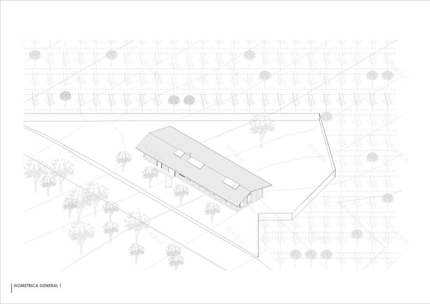 坦戈之家卡莱拉丨Abarca Palma Arquitectos-4