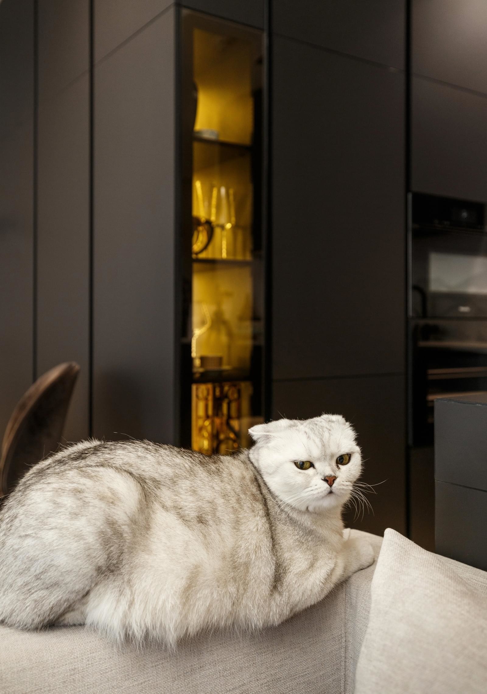 乌克兰河景轻奢复式公寓丨SVOYA 工作室-20