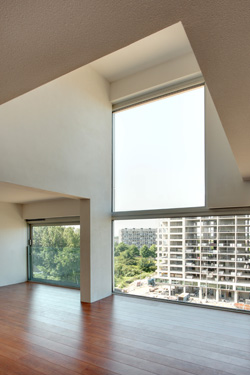 阿姆斯特丹绿意盎然的四塔公寓-10