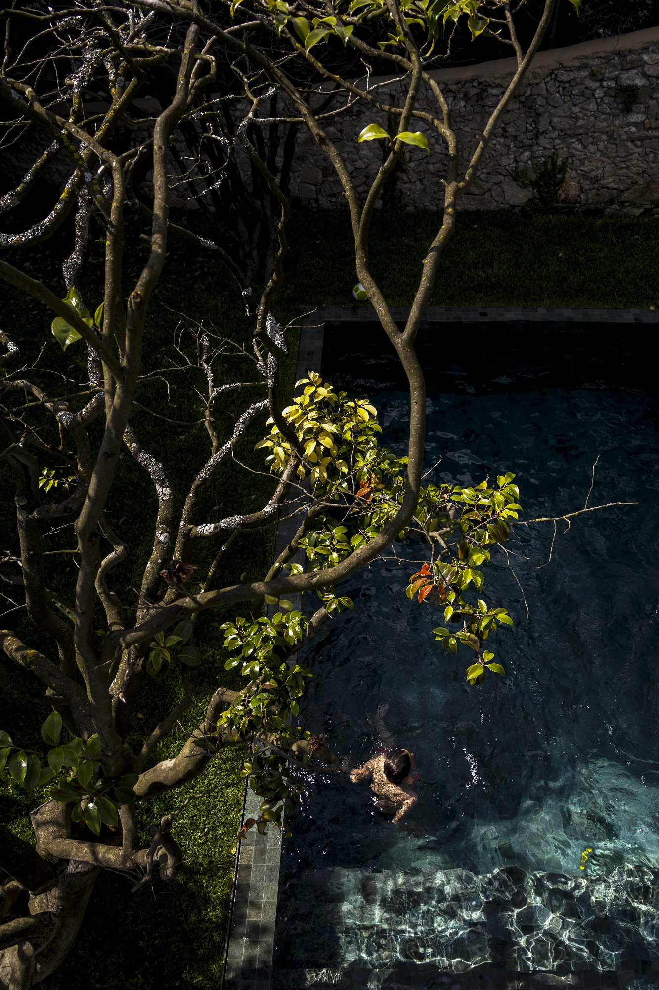 GC House | FCC Arquitectura-30