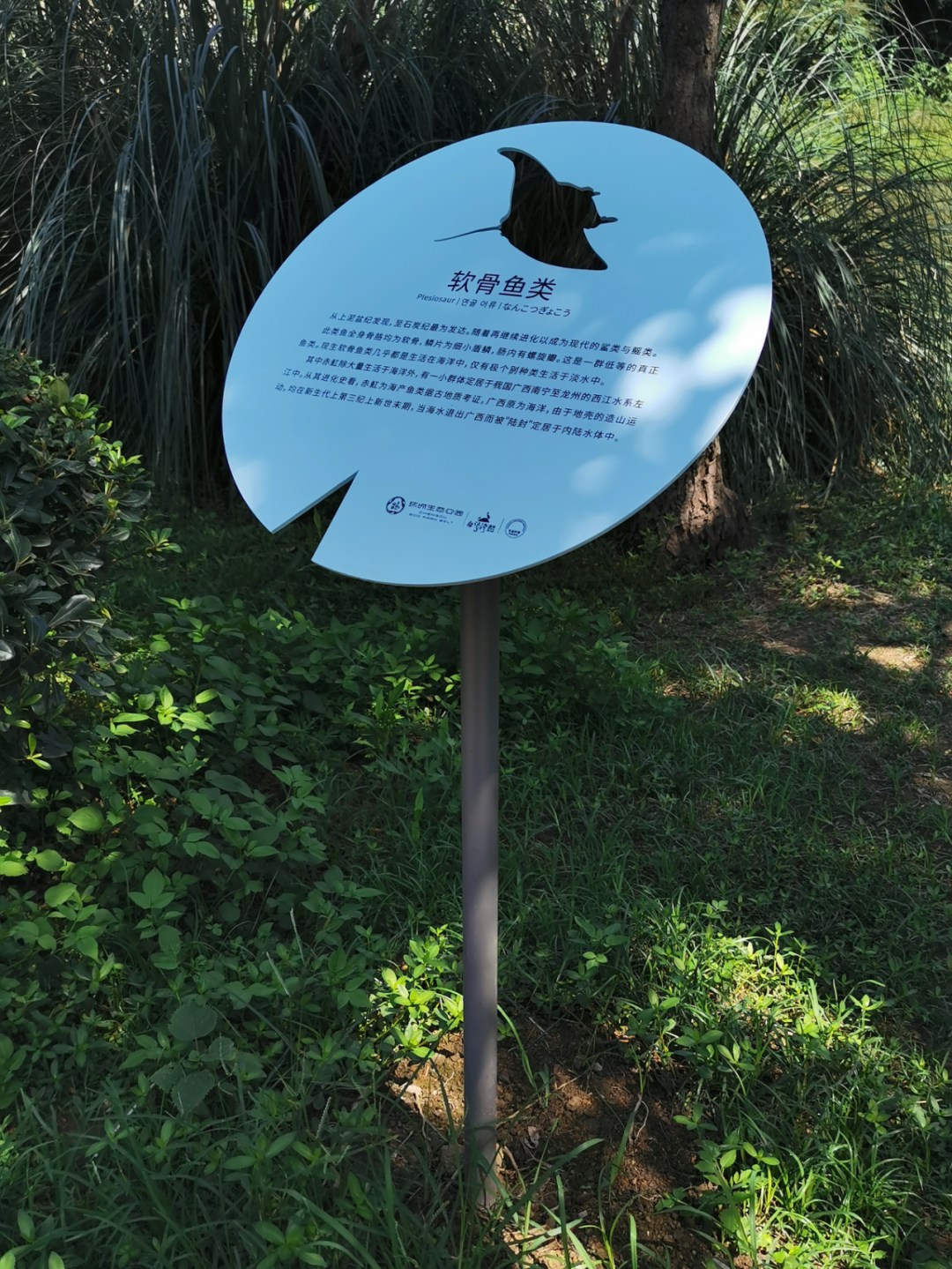 白鹭湾湿地公园自然探索基地丨中国成都丨上海柏熙标识有限公司-87