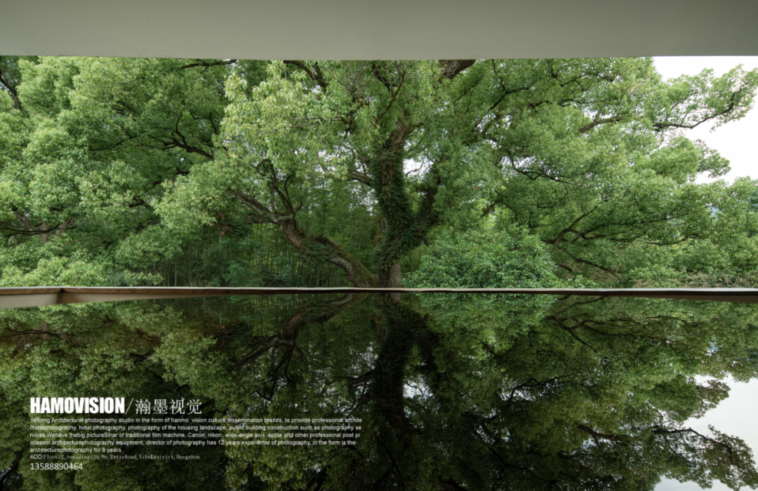 千年樟树下的茶室 · 沈墨设计的古堰画乡茶空间丨中国丽水丨杭州时上建筑空间设计事务所-61