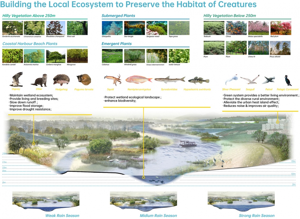 共生滨海 | 深汕特别合作区城市设计-51