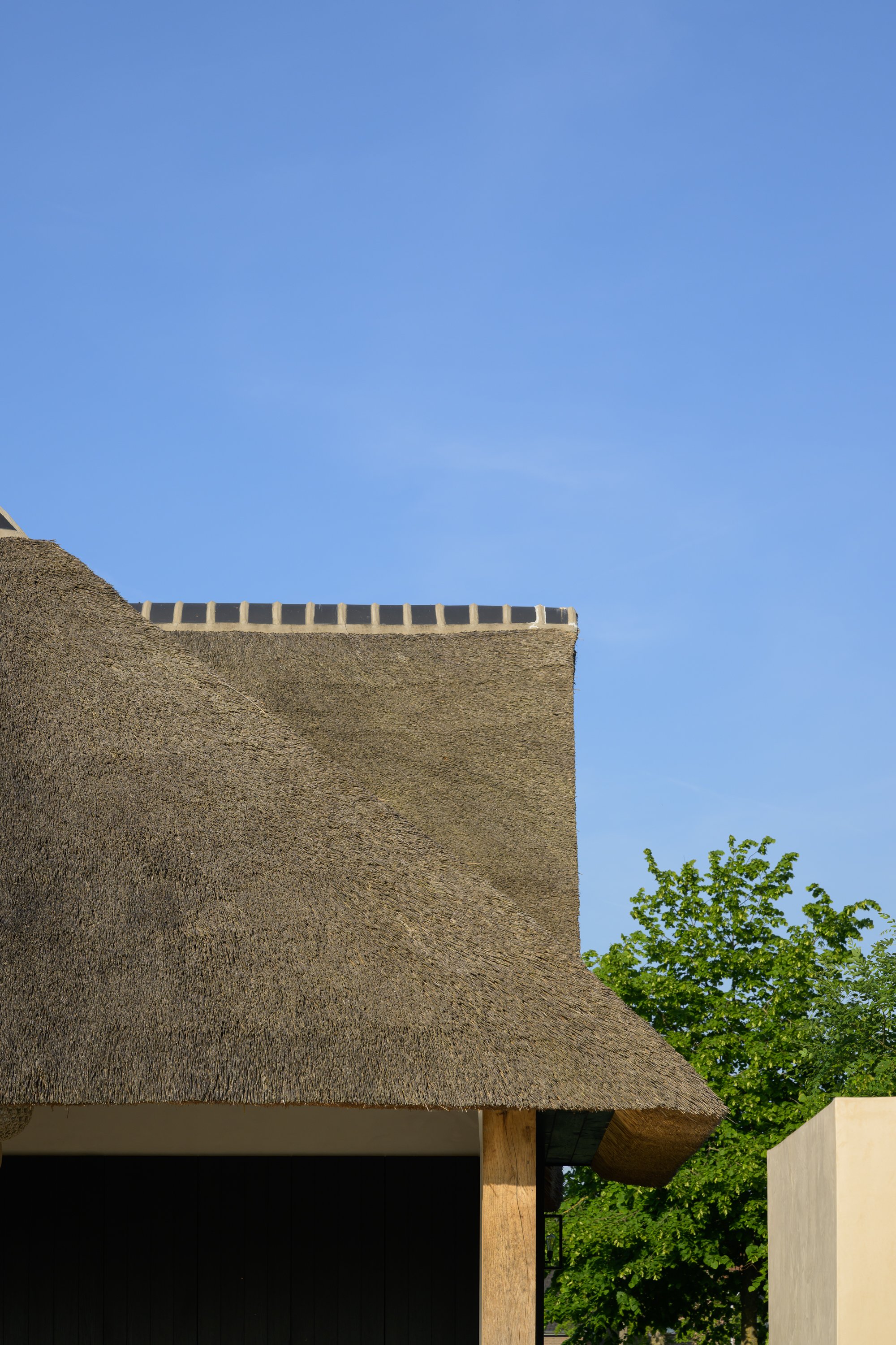 既有住宅带温室,泳池和淋浴墙的扩建项目丨Ai&M bvba-6