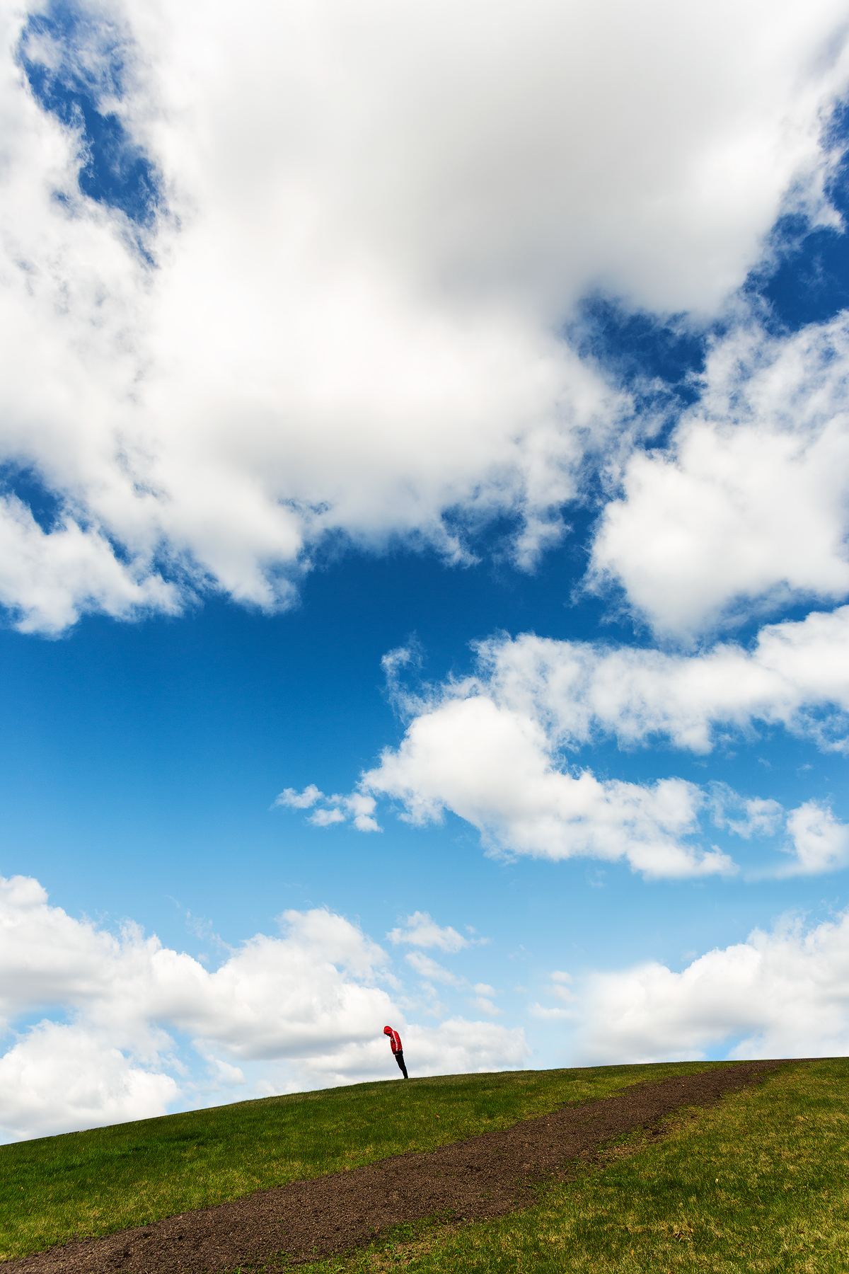 红色连帽衫系列丨瑞典丨Calle Artmark-5