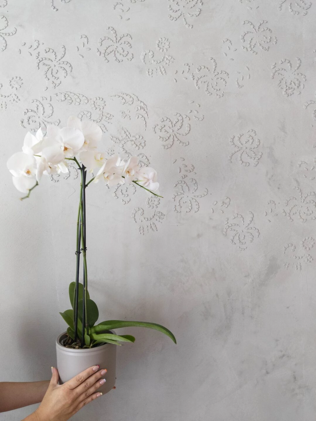 多彩糖果公寓丨普里什蒂纳-24